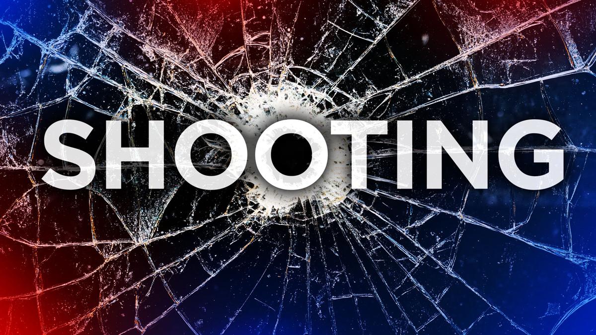 ron reeder shooting: Suspect Charged in Execution-Style Killing in Queens